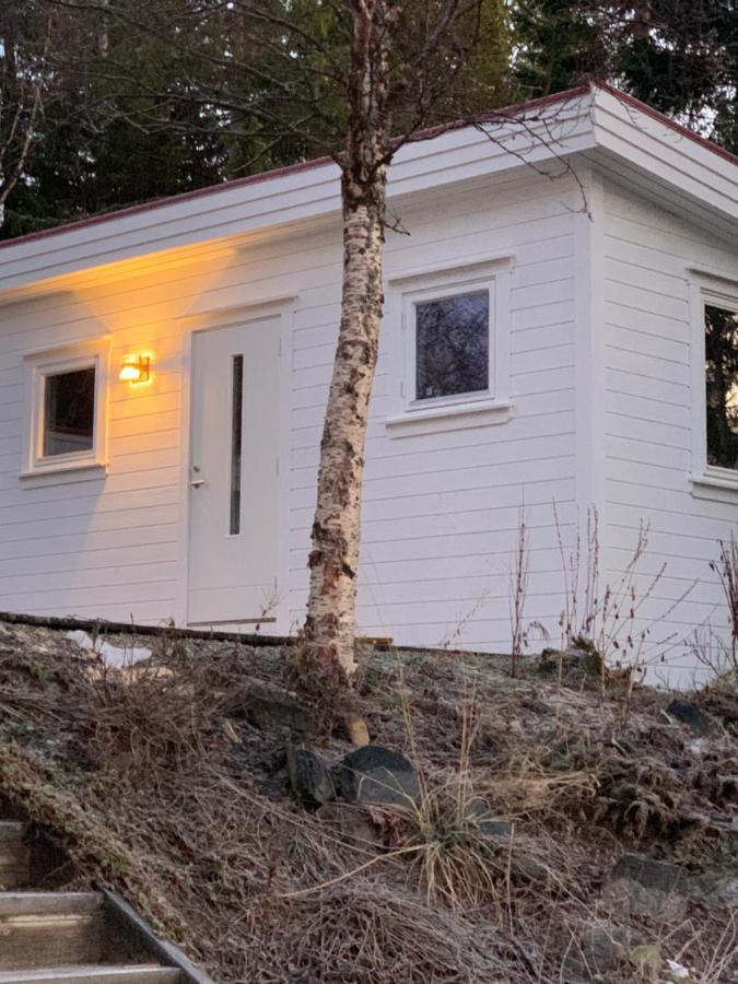 Hakoyveien 151, Tromso Hotell Exteriör bild