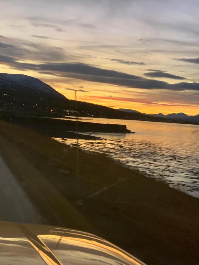 Hakoyveien 151, Tromso Hotell Exteriör bild