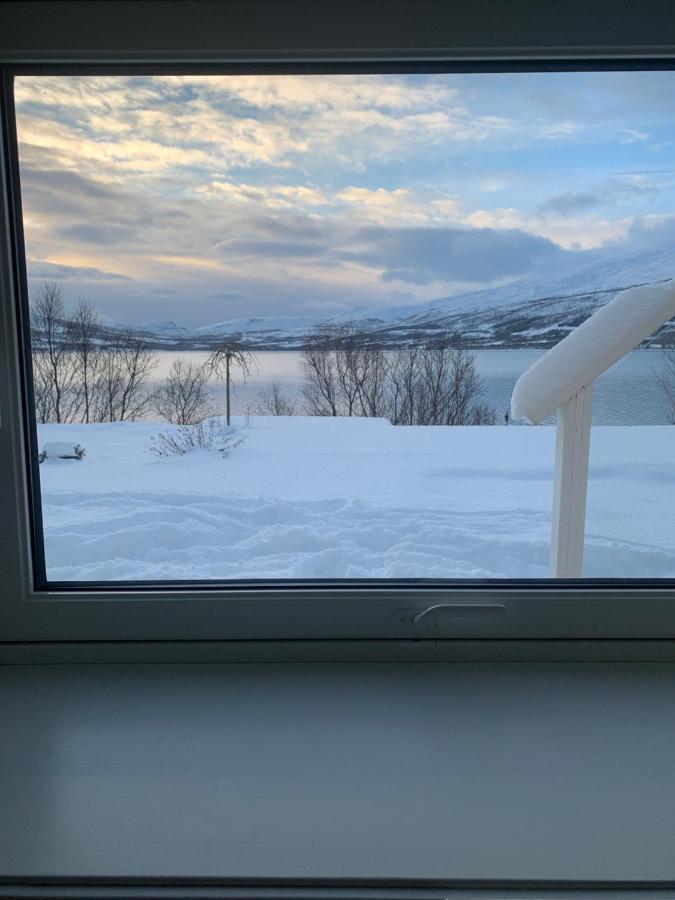 Hakoyveien 151, Tromso Hotell Exteriör bild