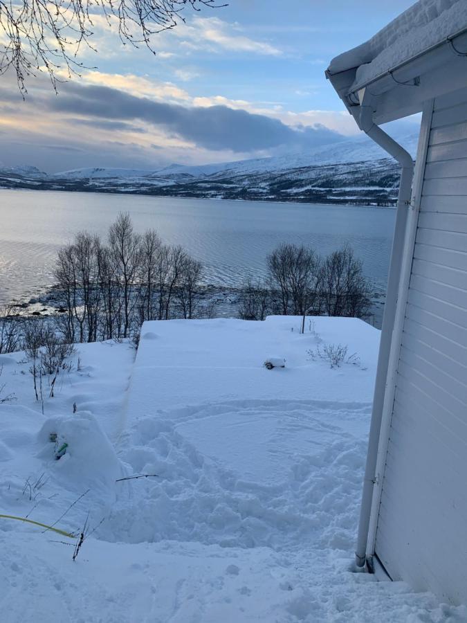 Hakoyveien 151, Tromso Hotell Exteriör bild