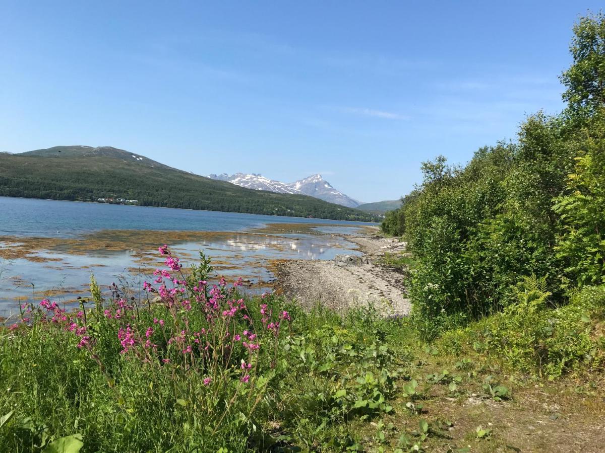 Hakoyveien 151, Tromso Hotell Exteriör bild