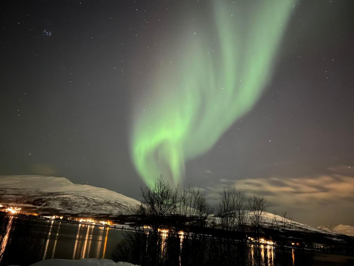 Hakoyveien 151, Tromso Hotell Exteriör bild