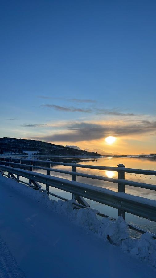 Hakoyveien 151, Tromso Hotell Exteriör bild