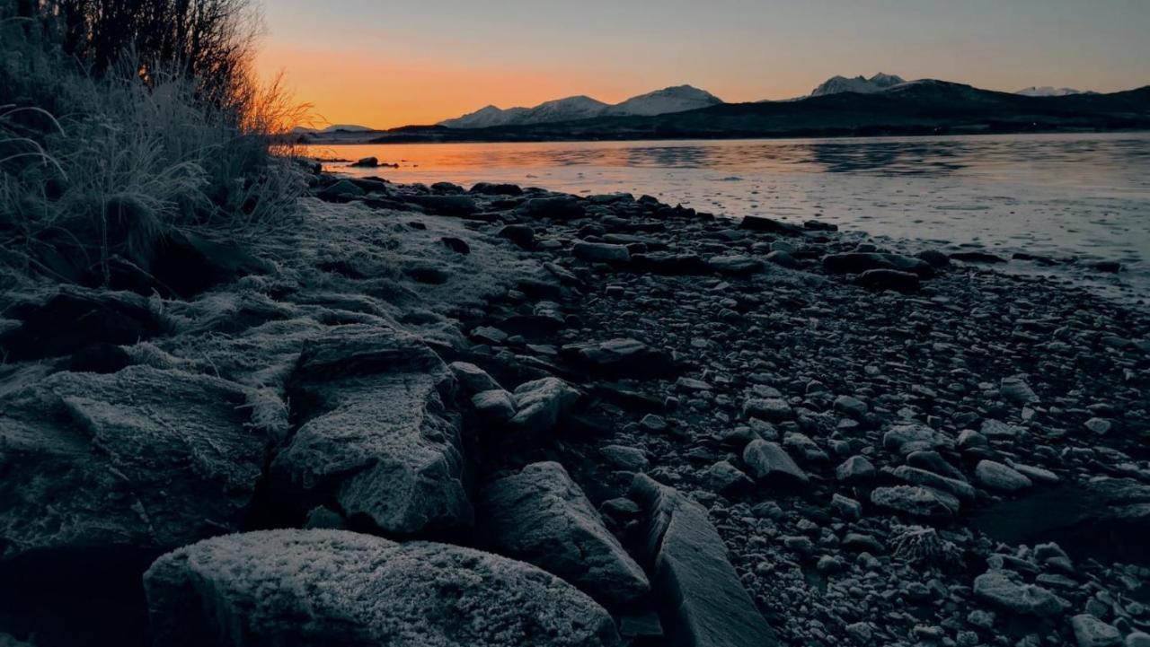 Hakoyveien 151, Tromso Hotell Exteriör bild