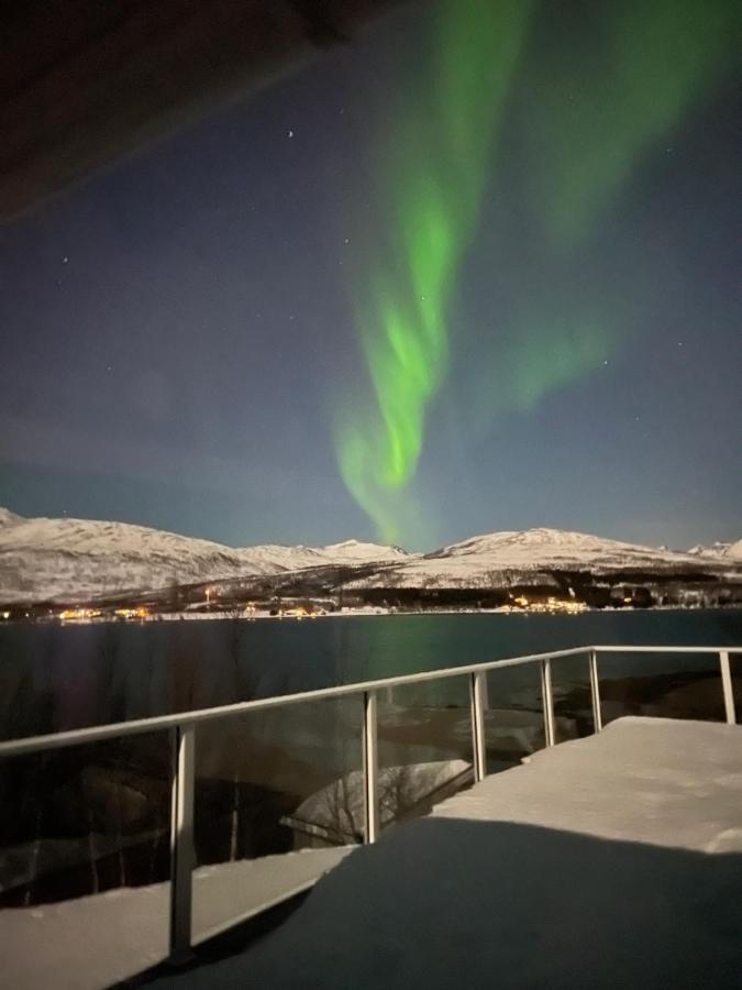 Hakoyveien 151, Tromso Hotell Exteriör bild