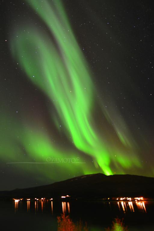 Hakoyveien 151, Tromso Hotell Exteriör bild